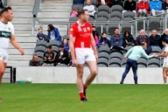 County-Semi-Final-v-Donovan-Rossa-Sat-oct-1st-2022-21