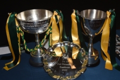 Dinner-Dance-2023-03