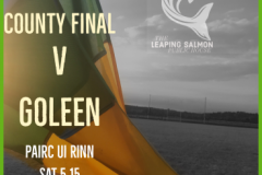 Junior-B-County-Champions-2019-10