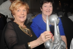 St-Michaels-Celebration-Night-Care-of-George-Hatchell-2019-78